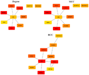 <p>Figure 3. Results of algorithms from the Cytohubba. Top 10 Hub genes were screened by degree, MCC, and BC according to the Cytohubba plug-in. The more forward ranking is represented by a redder color.</p>