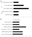 <p>Figure 4. DAVID functional GO analysis of (A) BP, CC, MF and (B) KEGG protein enrichment. DAVID, Database for Annotation, Visualization and Integrated Discovery; KEGG, Kyoto Encyclopedia of Genes and Genomes; GO, gene ontology; BP, biological processes; CC, cellular components; MF, molecular function.&nbsp;*p&lt;0.05.</p>