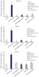 <p>Figure 5. mRNA expression of LGALS1, ANGPTL4, and NDRG1 in HT29 cells infected with HSV-HMGB1 and HSV-ble under hypoxic and normoxic conditions were analyzed by reverse transcription-quantitative PCR. Gene expression levels were calculated based on Delta-Delta Ct relative quantification. Three biological replicates were performed. *p&lt;0.05.</p>