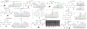 <p>Figure 3. Families' pedigrees and images of founding mutations.</p>