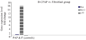 <p>Figure 4. Analysis of <em>Bcl-2</em>, <em>Bax</em> and <em>P53</em> gene expression in B-CPAP cell lines compared to fibroblasts. The <em>Bcl-2</em> genes expressed near to 16-fold changes more than in fibroblast cells, the <em>P53</em> gene expressed less than 50% in fibroblast group. As for the <em>Bax</em> gene, its expression was nearly the same in both B-CPAP and fibroblast group (p&lt;0.05).</p>