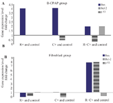 <p>Figure 5. A) Analysis of genes expression in B-CPAP cell and fibroblast lines treated with <em>L. casei</em>&ndash;ATCC-393 (C) and <em>L. rhamnosus</em>-GG (R) compared to the control group in RT-PCR reaction. 7A) <em>Bax</em> gene expression increased in all treatment group. In the group of B-CPAP cells treated with R+C+, a significant reduction in the expression of <em>Bcl-2</em> gene and up regulation of <em>p53</em> gene expression were observed. Bcl-2 mRNA has decreased in C+B-CPAP group (p&lt;0.05). Untreated B-CPAP cell line was used as control. Bax:&nbsp;pro-apoptotic protein. Bcl-2: anti apoptotic protein. P53: Tumor suppressor protein. B): <em>Bax</em> gene expression increased in treated C+ and C+R+fibroblast cell groups. <em>P53</em> expression was significantly lower in R+C+ Fibroblast compared with control. While, an increase in the expression of the <em>Bax</em> and <em>Bcl-2</em> genes was seen in the same fibroblast group. <em>Bcl-2</em> was downregulated in R+fibroblast cells (p&lt;0.05). Untreated fibroblast cell line was used as control.</p>
