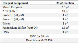 <p>Table 3. RPA protocol reaction</p>

