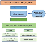 <p>Figure 1. The flowchart of the research and step-by-step phases of the <em>in silico</em> phase of the study.</p>