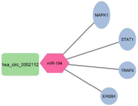 <p>Figure 4. The interaction between has_circ_0052112_miR-194 and hub genes is visualized using Cytoscape.</p>