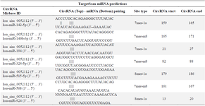 <p>Table 4. List of miRNAs targeted by the TargetScan database for circular RNA hsa_circ_0052112</p>
