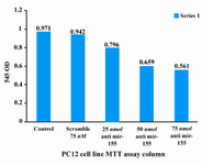 Figure 2. MTT assay on control, scramble and test groups