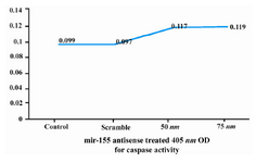 Figure 3. Effect of anti miR-155 on caspase-3 activity in control, scramble and test groups