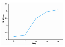 Figure 2. Kinetic evaluation of anti-P110 antibody production in serum of immunized rabbit. A white New Zealand rabbit was immunized with peptide P110-KLH conjugate. The reactivity of 1:1000 diluted sera from im-munized rabbit with immunizing peptide was determined at different time intervals by ELISA. The specific anti-body titer was upraised in immunized rabbit over the time and reached to the plateau after 28 days