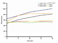 Figure 4. Comparison of quantities for secreted recom-binant AAT in Mut+, Muts and non-recombinant X-33 clones where identified by human alpha 1-antitrypsin ELISA Quantitation Kit in three consecutive days. Data represent the average of three independent experiments
