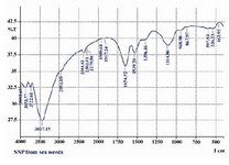 Figure 4. FTIR spectra of silver nanoparticles synthe-sized by the reduction of 1mM silver nitrate with the Gelidiella acerosa extract