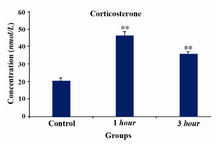 Figure 1. Measurement of corticosterone hormone in three groups of pregnant rats (control-no stress, 1 hr and 3 hr stress-induced rats). Concentrations are expressed as mean ± S.E.M. (as described under Materials and Methods); n=3 animals per experimental group. Asterisks indicate significant differences between treated groups. Statistical analysis was performed using one-way ANOVA followed by the Tukey’s post hoc test (*p<0.001, 1 hr stress versus control; *p<0.001, 3 hr stress versus control)