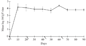 <p>Figure 2. Average anti-IL-6 IgY titer from three independent experiments were determined by in-house ELISA. Arrows represent the day of immunization.</p>