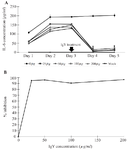 <p>Figure 6. Neutralizing activity of anti-IL-6 IgY <em>in vitro</em> in LPS-stimulated cells. A) Levels of secreted IL-6 from LPS-stimulated MRC-5 cells before and after treatment with anti-IL-6 IgY. Various concentrations of anti-IL-6 IgY were added, and IL-6 levels in the supernatant were determined by ELISA. Asterisks indicate statistical significance at p&lt;0.05. B) Inhibition of IL-6 production by LPS-stimulated MRC-5 cells on day 4 post-stimulation after incubated with anti-human IL-6 IgY.</p>