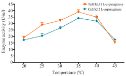 <p>Figure 3. Effect of temperature on L-ASNase activity.</p>