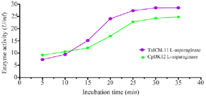 <p>Figure 4. Effect of incubation time on L-asparaginase activity.</p>