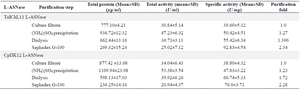 <p>Table 2. Purification profile of L-asparaginase from T. asahii isolate ChL11 and C. palmioleophila isolate JK12</p>