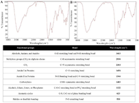 <p>Figure 10. The functional groups, wavelengths, and their interpretations in the extracts of the control (A) and experimental (B) conditions using FTIR analysis.</p>
