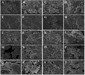 <p>Figure 4. SEM analysis results of materials with PLA/HA 80:20 composition and 10% of various modifiers by mass of the sample.</p>