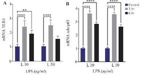 <p>Figure 5. The effect of inflammatory environment exposure with LPS induction, on hUC-MSC relative mRNA expression level of TLR4 and RelA/p65, **(p=0.0098), ****(p&lt;0.0001).</p>