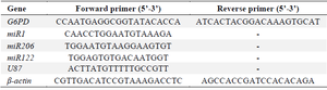 <p>Table 1. Sequences of primers in real-time PCR</p>