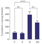 <p>Figure 5. The effect of swimming on the protein level of cytochrome C in the heart of rats treated with DOX. The results are reported as mean&plusmn;standard deviation. All assays were performed in triplicates. ** and **** indicate a significant statistical difference between different experimental groups at p&lt;0.01 and p&lt;0.0001, respectively. C (control group), S (swimming group), D (DOX group), DS (swimming + DOX group).</p>