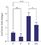 <p>Figure 6. The effect of swimming on the <em>miR-23a</em> gene expression in the heart of rats treated with DOX. The results are reported as mean &plusmn; standard deviation. All assays were performed in triplicates. U6 was used as a housekeeping gene. * and *** indicate a significant statistical difference between different experimental groups at p&lt;0.51 and p&lt;0.001. C (control group), S (swimming group), D (DOX group), DS (swimming + DOX group).</p>