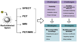 <p>Figure 1. Schematic figure to visually organize the discussed challenges and proposed strategies.</p>