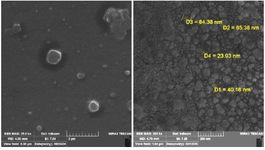 <p>Figure 3. Fe SEM images of MgO nanoparticle.</p>