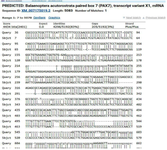 <p>Figure S2. Comparative BLASTn analysis of <em>PAX7 </em>gene sequences revealed~30% mutation by aligning the reference FASTA sequence with defective variants, highlighting key sequence similarities and mutation sites.</p>