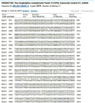 <p>Figure S6. Approximately 30% of the gene was found to be mutated by comparing the defective sequence with the reference gene in FASTA format.</p>