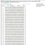 <p>Figure S8. By comparing the FASTA format of the reference gene with the gene, it was observed that the gene has a 10% mutation responsible for the disease.</p>
