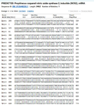<p>Figure S11. Detailed molecular analysis revealed that 16% of mutations are localized within the defective allele, providing further validation of this observation.</p>