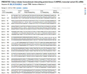 <p>Figure S12. Comparative analysis of the FASTA sequences of the healthy and mutated <em>Hipk3 </em>genes revealed that approximately 20% of the total observed variations are found in the mutated sequence.</p>