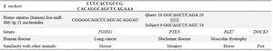 <p>Table 4. Overview of <em>Yersinia ruckeri</em> (<em>Y. ruckeri</em>) species, their similarity to human genes, and related diseases</p>