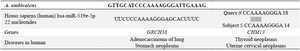 <p>Table 5. Summary of <em>Acidianus</em> <em>ambivalens</em> (<em>A. ambivalens</em>), similarity to human microorganisms, genes involved in this microorganism, and associated diseases</p>
