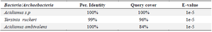 <p>Table 7. BLAST-based analysis showing sequence identity, coverage, and E-values for bacterial and archaeal species aligned with the target gene</p>