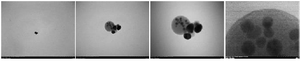 <p>Figure 1. MPNs morphology under TEM magnification 10000&times;, 50000&times;, 100000&times; and 500000&times;.</p>