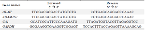 <p>Table 1. The sequences of primers</p>