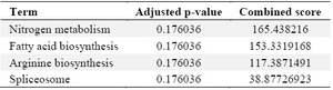 <p>Table 2. Pathways that are regulated by upregulated genes (retrieved from EnrichR database)</p>