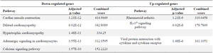 <p>Table 5. Pathways affected by dysregulated genes in the synovial tissue of RA patients (GSE77298 dataset)</p>
