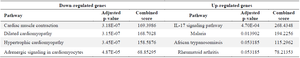<p>Table 6. Pathways influenced by dysregulated genes in the synovial tissue of RA patients (GSE82107 dataset)</p>