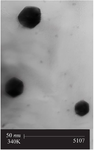 <p>Figure 2. TEM image of synthesized gold-gold sulfide nanoshells.</p>