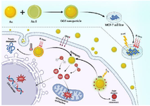 <p>Scheme 1. Mechanism of Action of GGS Nanoparticles in Combination with Hyperthermia and Ionizing Radiation in MCF-7 Cells.</p>