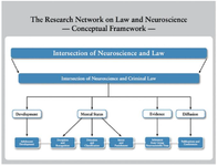 <p>Conceptual Framework of the MacArthur Foundation Research Net- work on Law and Neuroscience Taken from (www.lawneuro.org).</p>