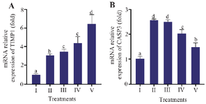 <p>Figure 1. Effect of CXE on <em>TIMP1</em> and <em>CASP3</em> gene expression in UV-induced BJ cells.</p>
<p>Relative mRNA expression of (A) <em>TIMP1 </em>and (B) <em>CASP3 </em>in BJ cells. Groups: I=NC (Negative Control, non-irradiated), II=PC (Positive Control; UV-induced), III=PC+CXE 3.13 <em>&micro;g/ml</em>, IV=PC+CXE 6.25 <em>&micro;g/ml</em>, and V=PC+CXE 12.5 <em>&micro;g/ml</em>. Data are represented as mean&plusmn; SD (n=3). Statistical significance was determined using the Mann&ndash;Whitney test. Bars labelled with different letters indicate statistically significant differences between groups (p<0.05).</p>
