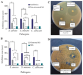 <p>Figure 2. Antimicrobial activity of non-niosomal and niosomal SG. A and B indicate the quantitative results for disc- and well-diffusion tests. C and D represent the results of disc-diffusion tests for <em>S. mutans</em> and <em>C. albicans</em> in the plates, repsctively.</p>
<p>* Indicates p-value <0.05. Data are shown as mean &plusmn; SD (n=8).</p>
