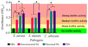 <p>Figure 3. Biofilm activity of wells treated with non-niosomal and niosomal SG.</p>
<p>* Indicates p-value <0.05. Data are shown as mean &plusmn; SD (n=8).</p>
