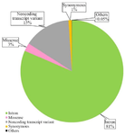 <p>Figure 2. A graphical representation in the form of a pie chart illustrating the distribution of Single Nucleotide Polymorphisms (SNPs) within the <em>SCIN</em> gene, as sourced from the dbSNP database.</p>
