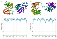 <p>Figure 3. 3D Protein Modeling and Quality assessment of <strong>SCIN proteins using trRosetta.</strong> A) Wild-type SCIN, B) R511G mutant. Comparison of predicted local confidence (pLDDT) scores for the wild-type (A) and mutant (B) proteins, showing overall similar structural reliability with minor local variations.</p>

